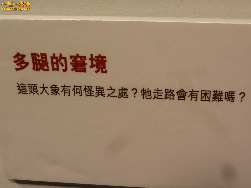 DSCN8933.JPG