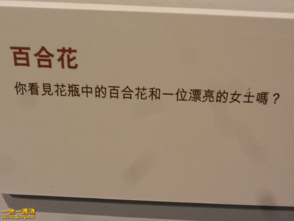DSCN8938.JPG