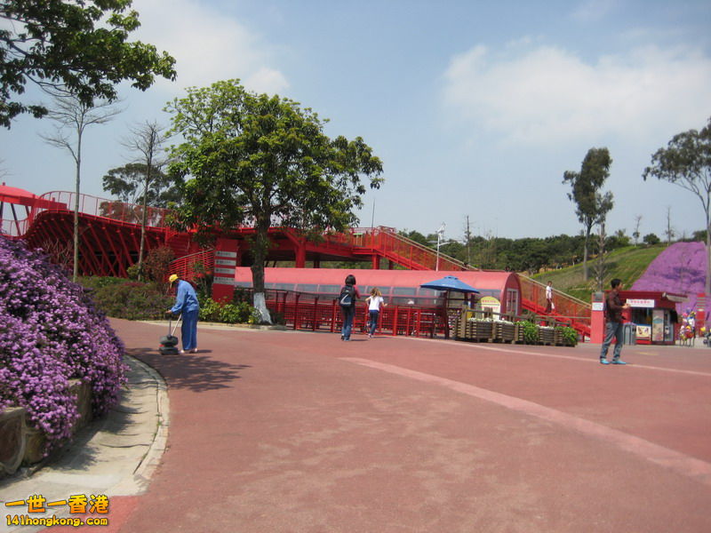 IMG_1829_调整大小.JPG