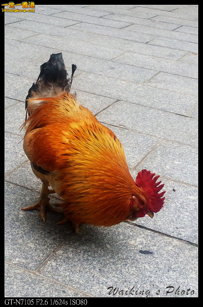 20130429_103748R.jpg