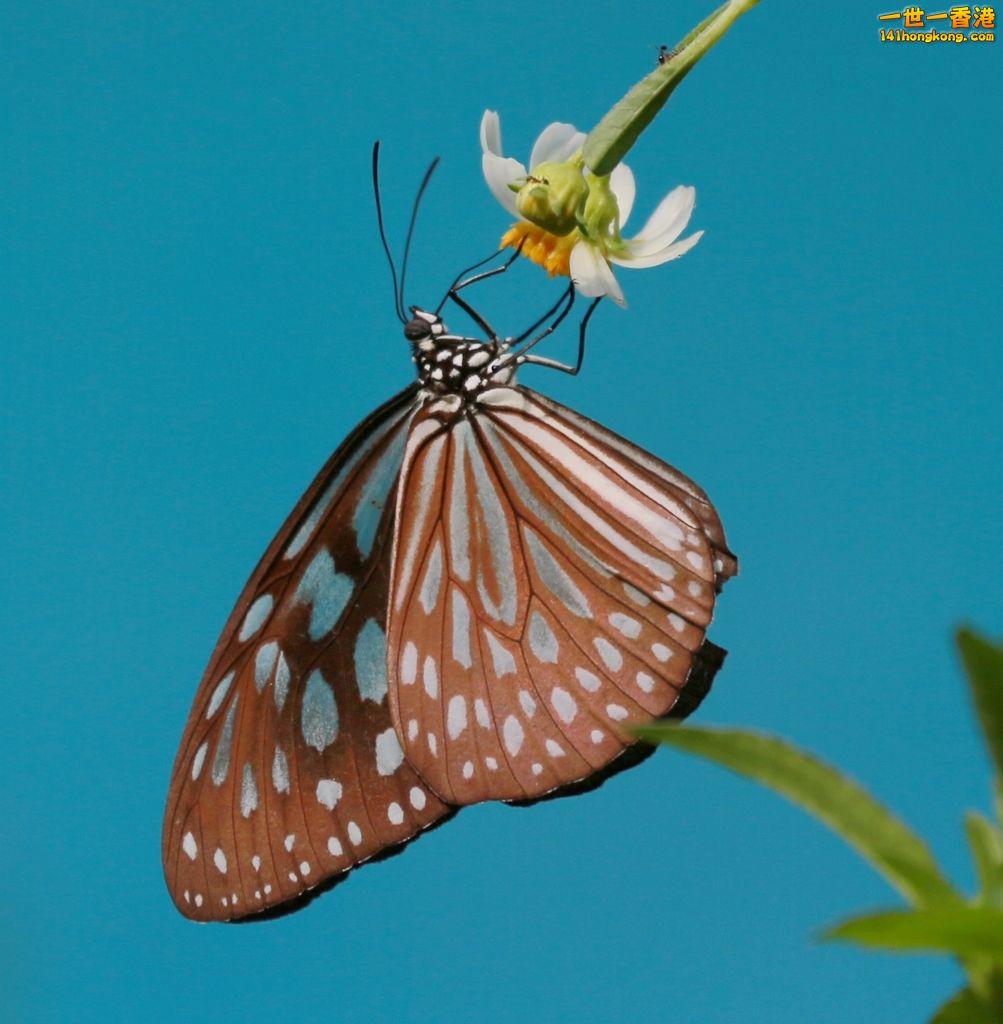 3P1A5740.JPG
