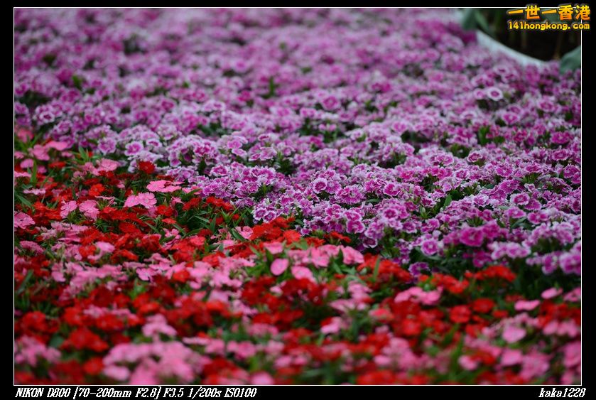 nEO_IMG_DSC_2060.jpg