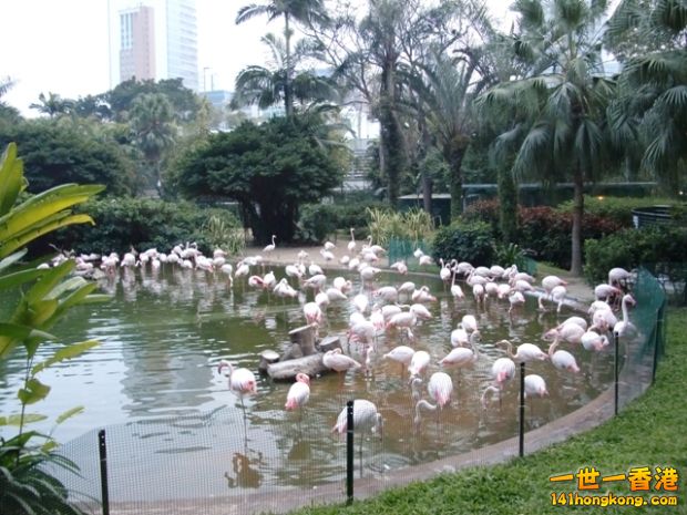 photo.jpg