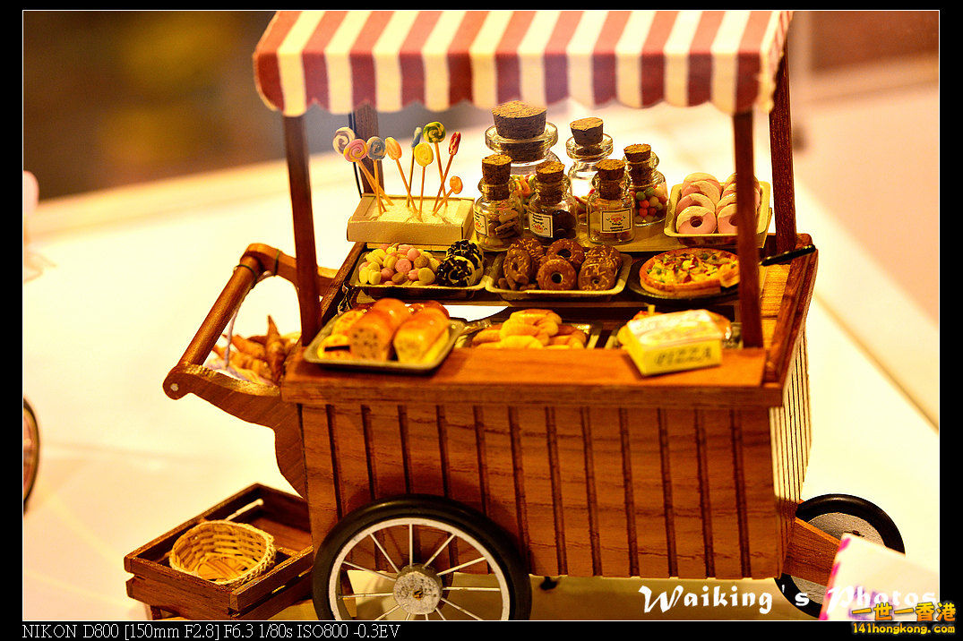 DSC_2313R.jpg