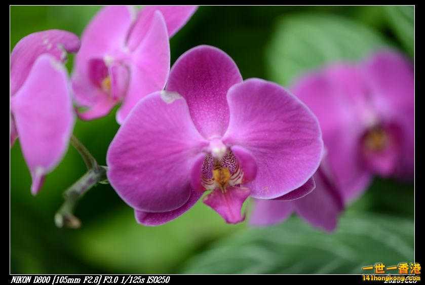 nEO_IMG_DSC_0985.jpg