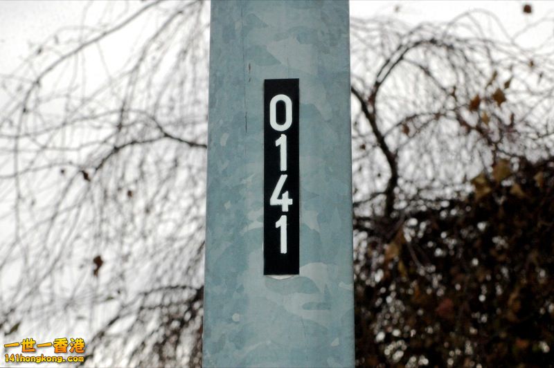 electric pole number 141.jpg