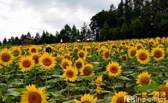 Hokkaido-01.JPG