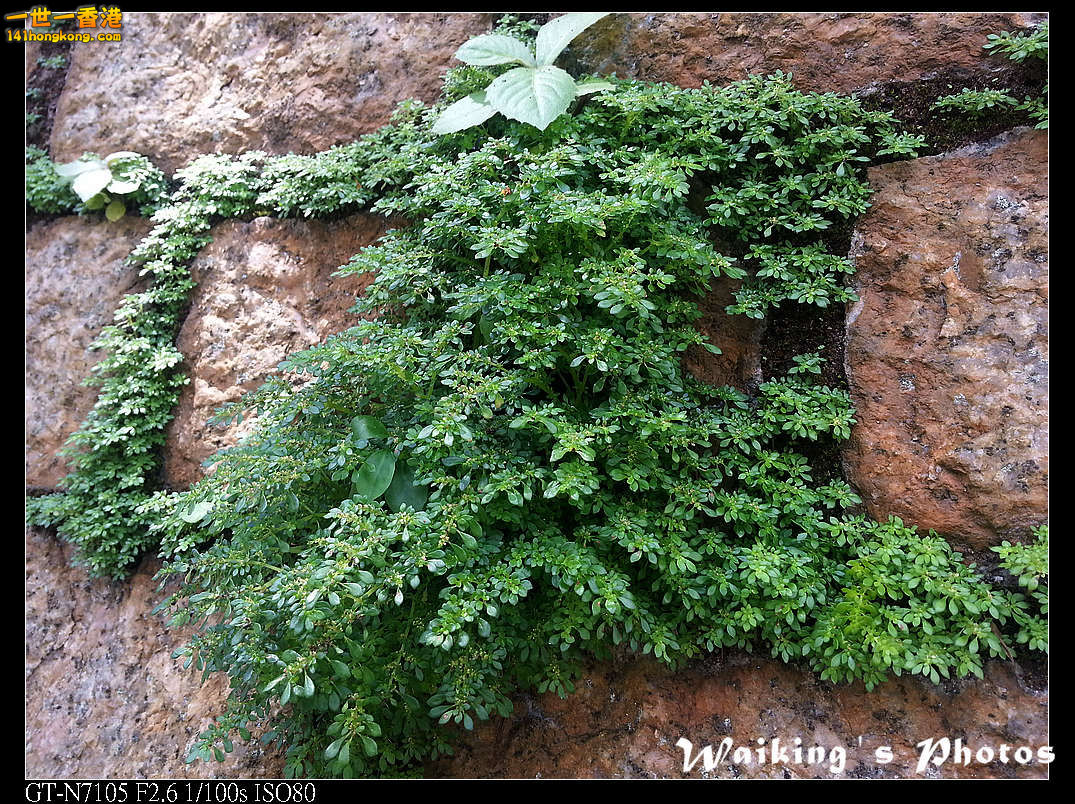 20130705_105058R.jpg