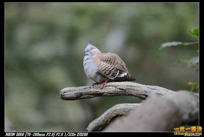 nEO_IMG_DSC_1161.jpg