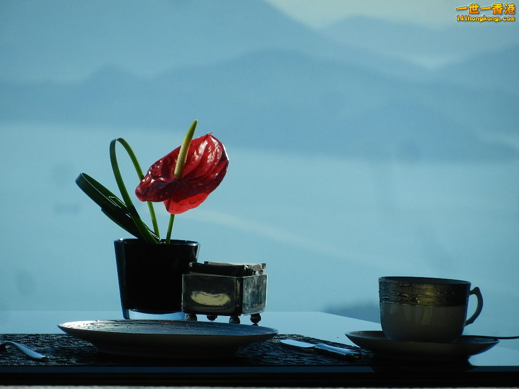 DSCN8764.JPG