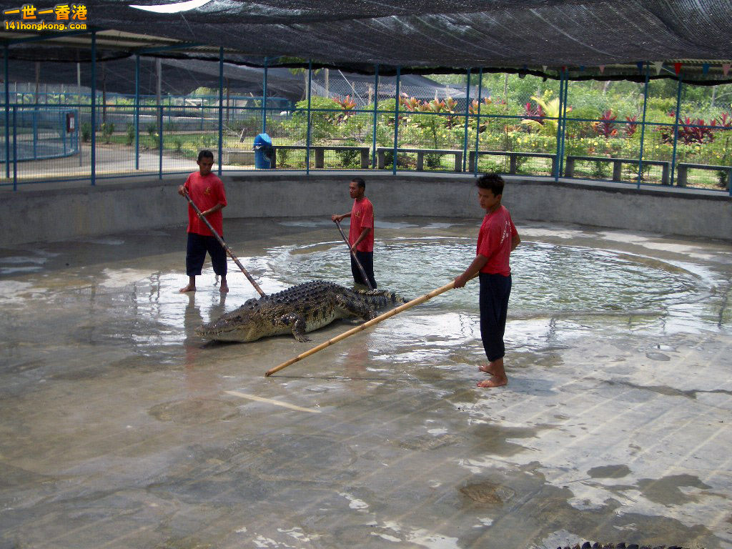 IMGP1382.JPG