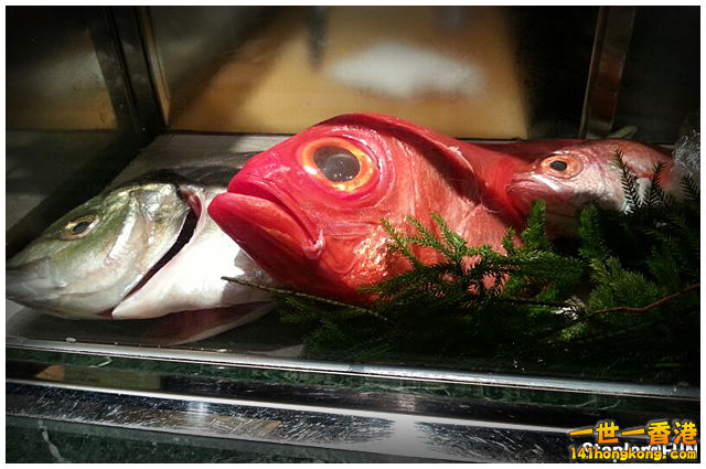 Fish 01.jpg