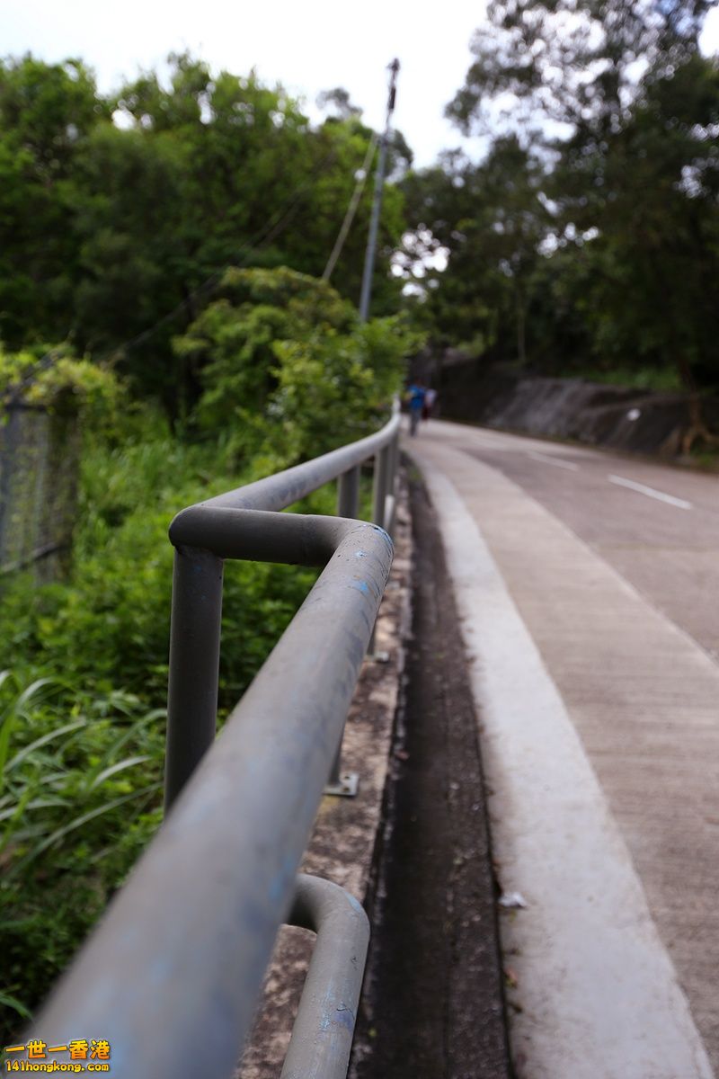 CW8U0906.JPG