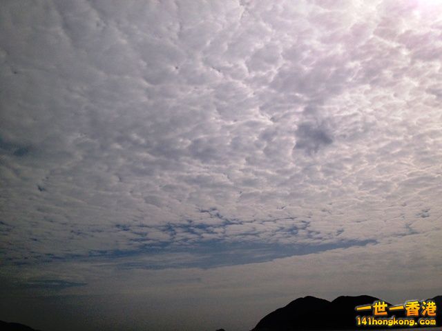 photo.jpg