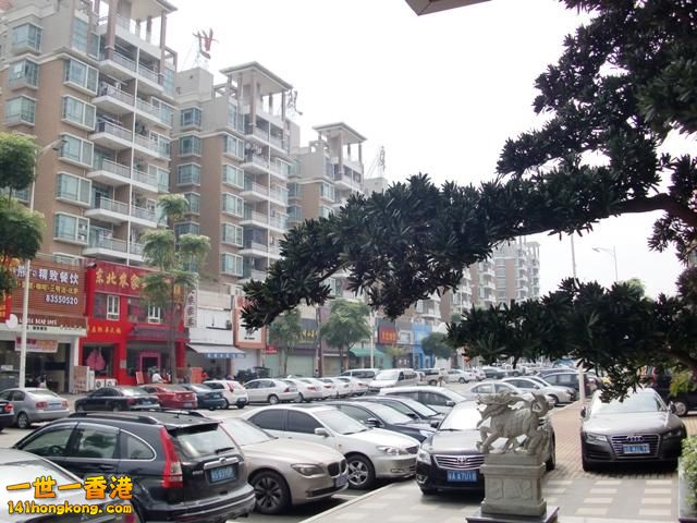 photo.jpg