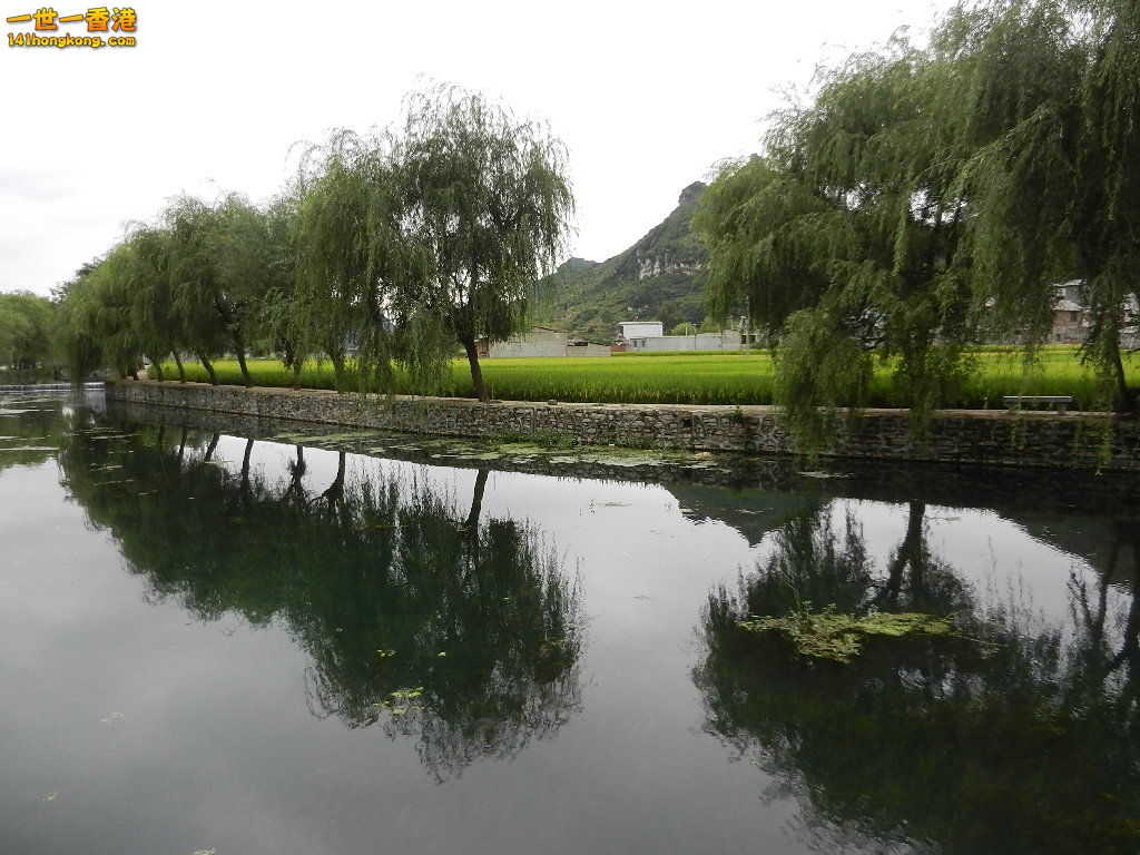 DSCN0246.JPG