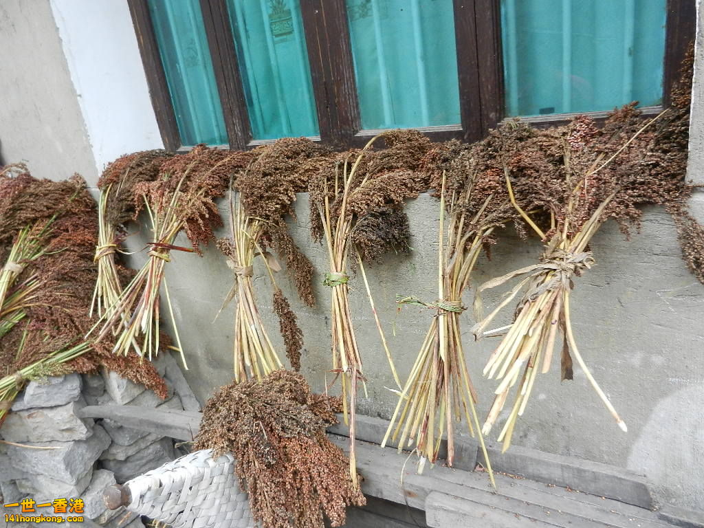 DSCN0274.JPG