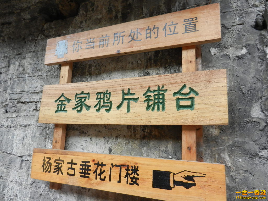 DSCN0294.JPG