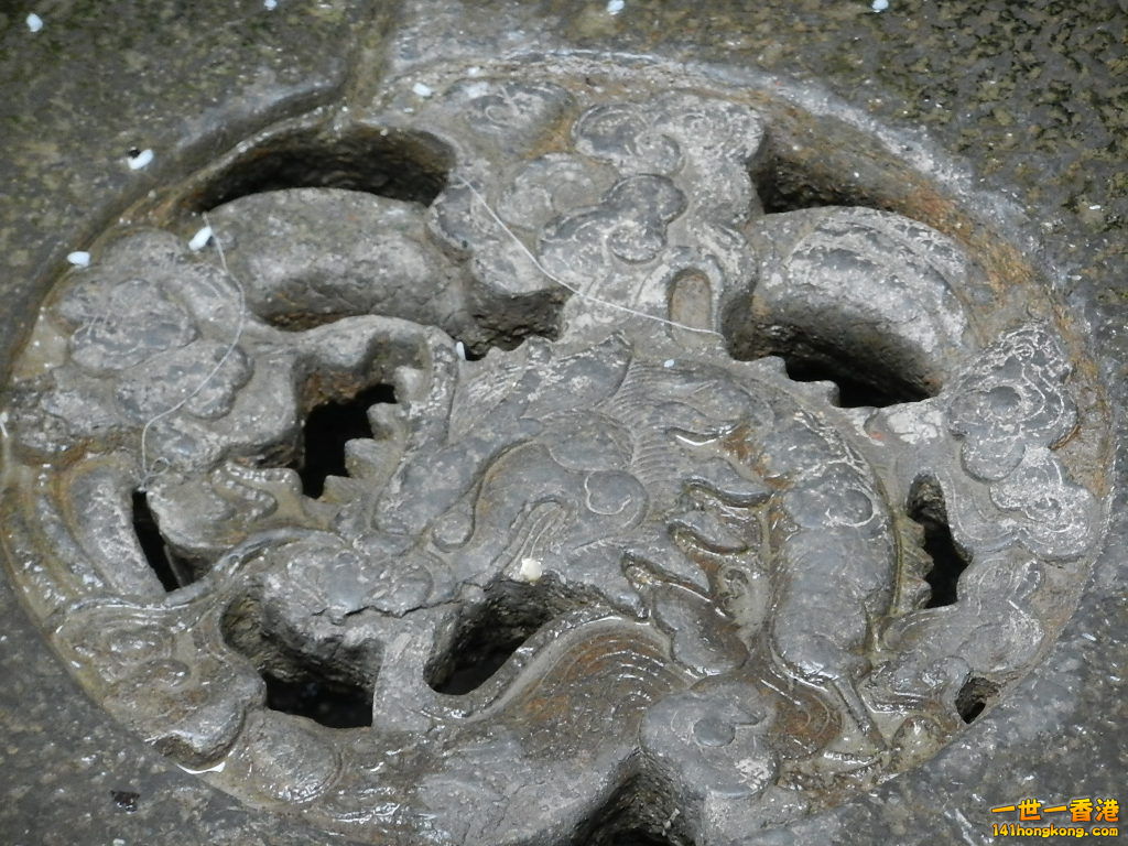 DSCN0315.JPG