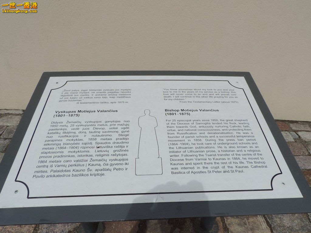 (47).JPG
