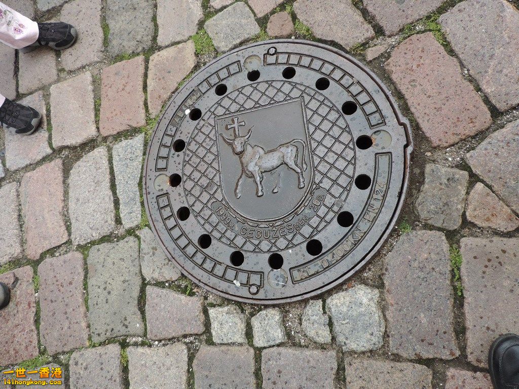 (53).JPG