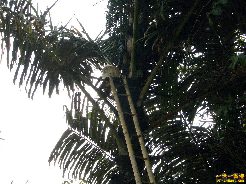 IMGP1530.JPG