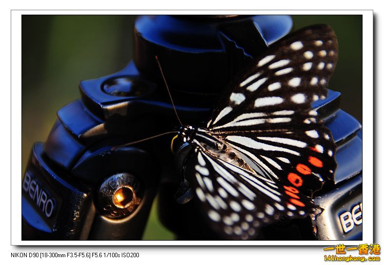 nEO_IMG_DSC_8051.jpg