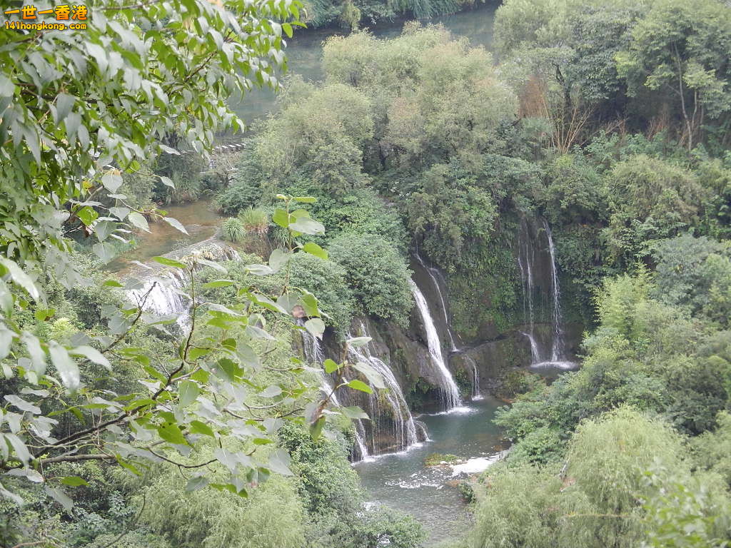 DSCN0767.JPG