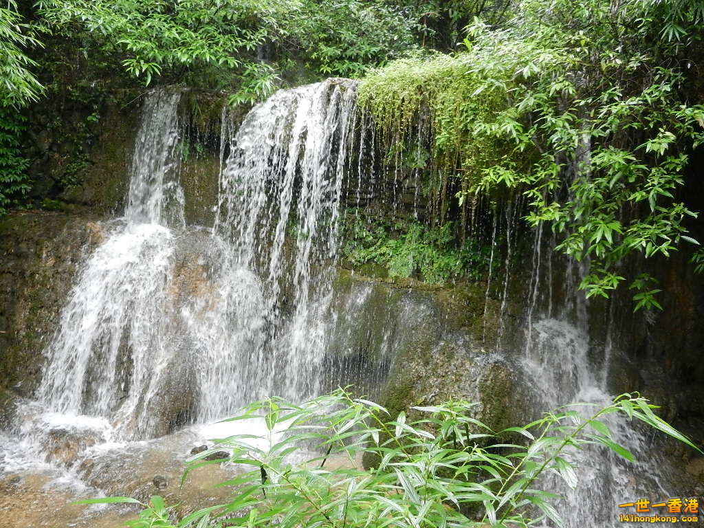DSCN0583.JPG