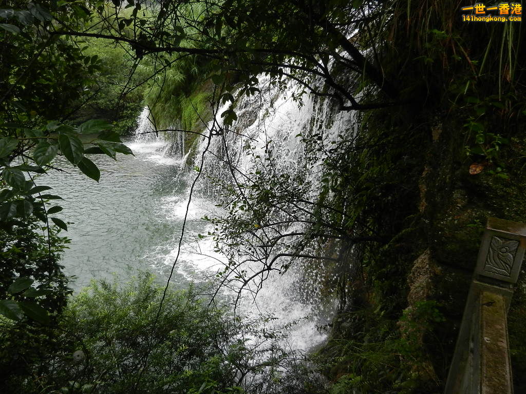 DSCN0590.JPG