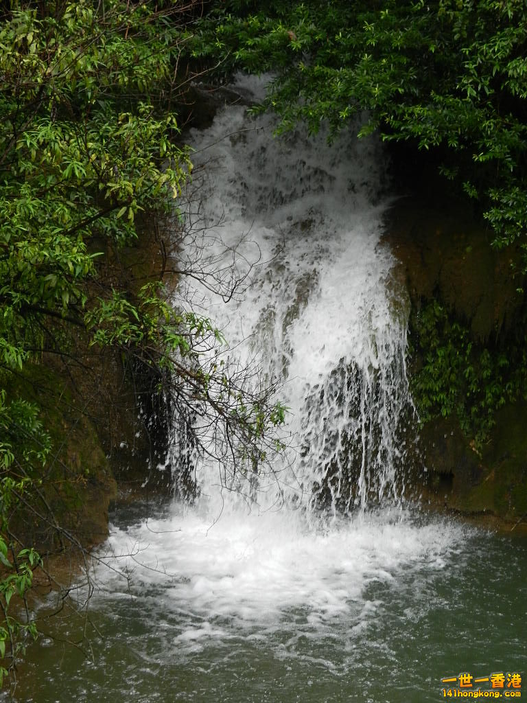 DSCN0600.JPG