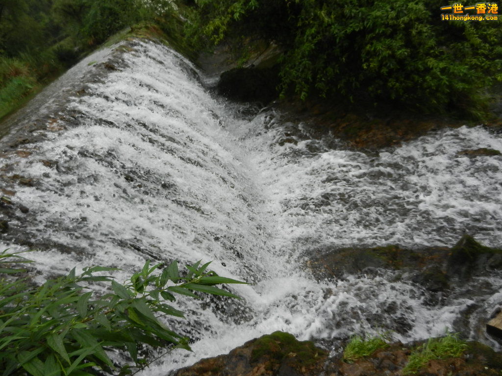 DSCN0615.JPG