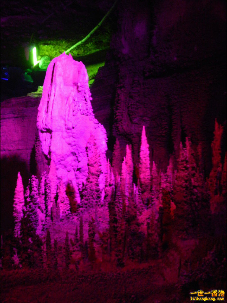 DSCN0760.JPG