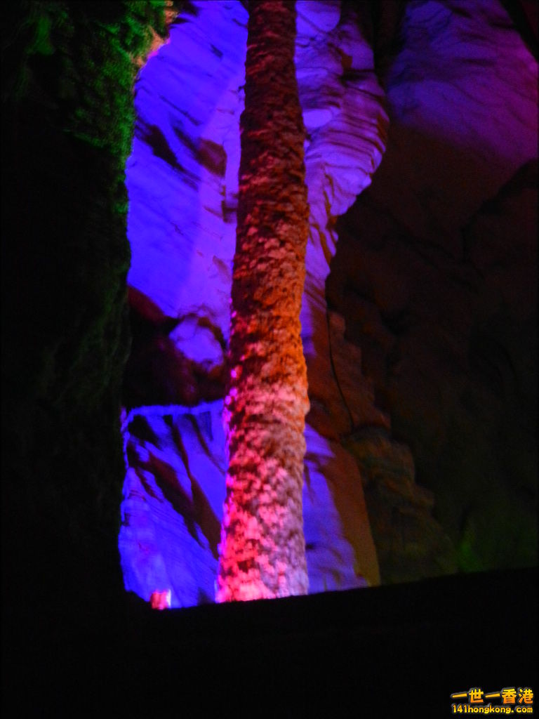 DSCN0681.JPG