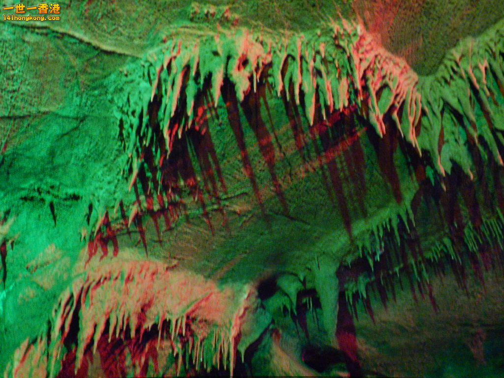 DSCN0697.JPG