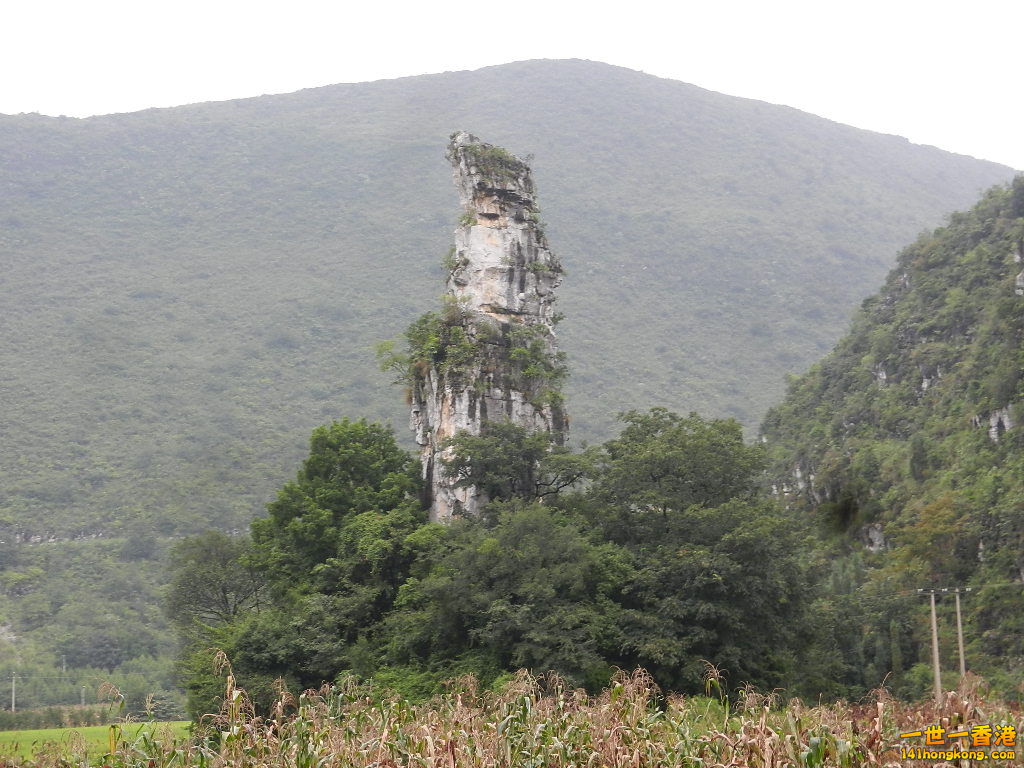 DSCN9957.JPG