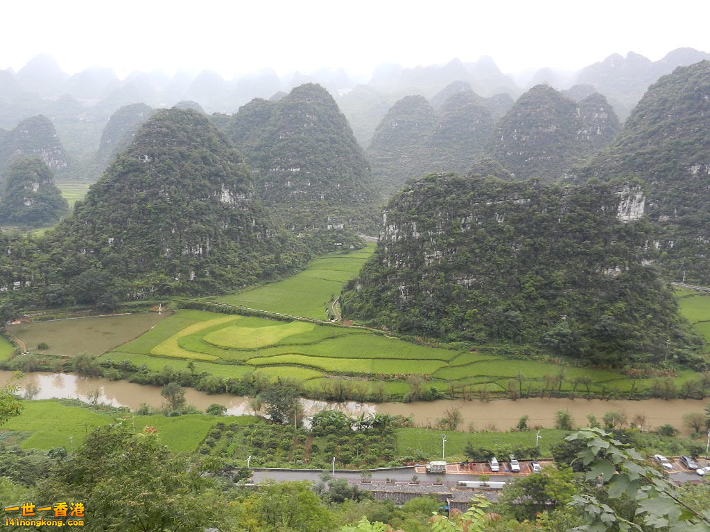 DSCN9801.JPG