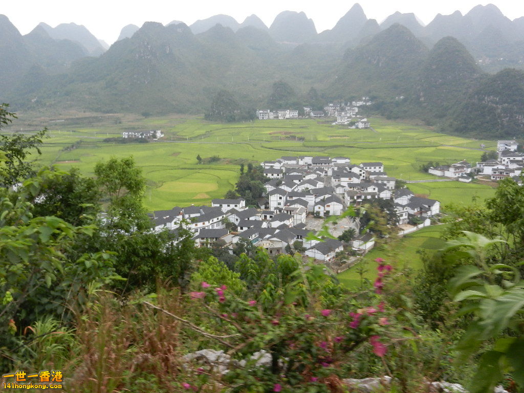 DSCN9831.JPG