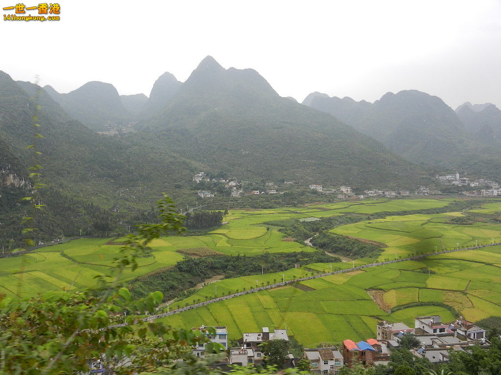 DSCN9876.JPG