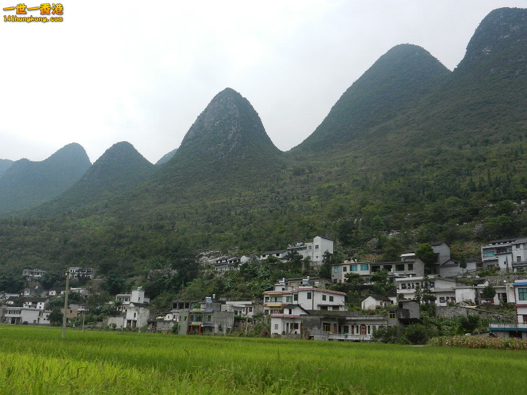 DSCN9905.JPG