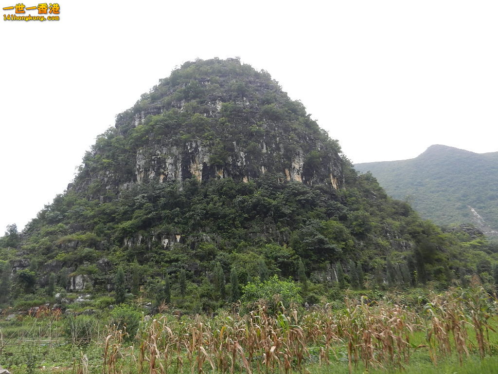 DSCN9953.JPG