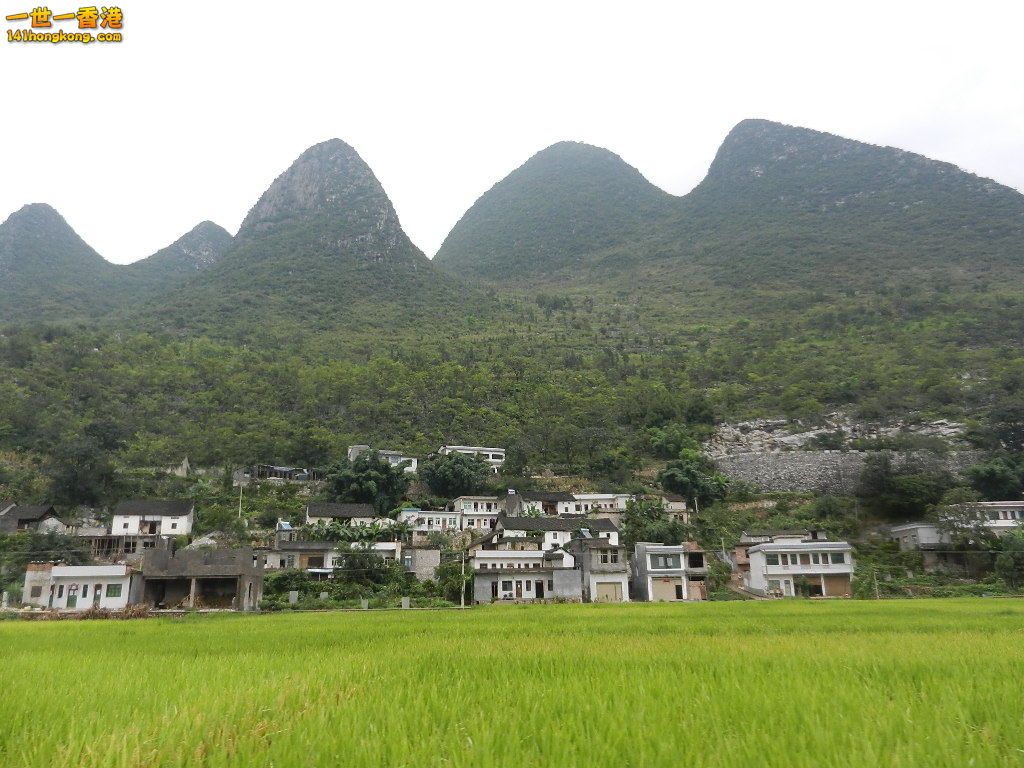 DSCN9910.JPG
