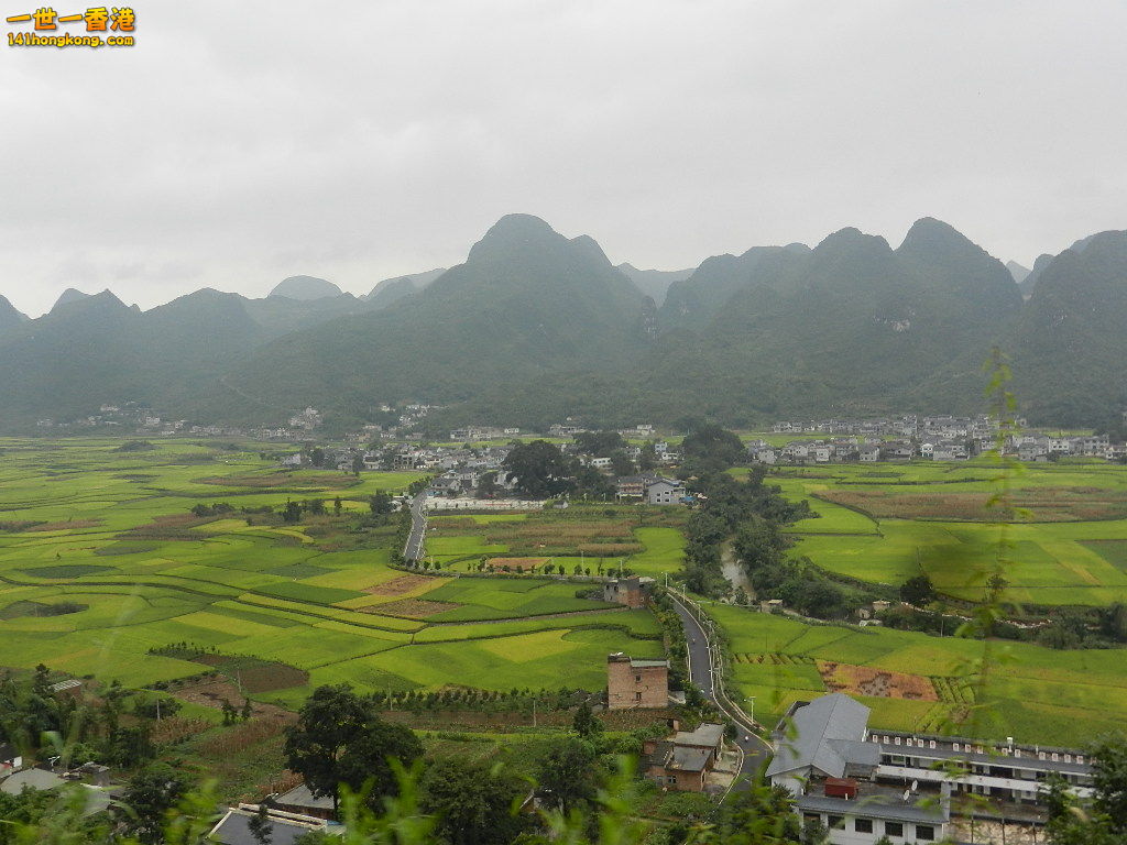 DSCN9850.JPG