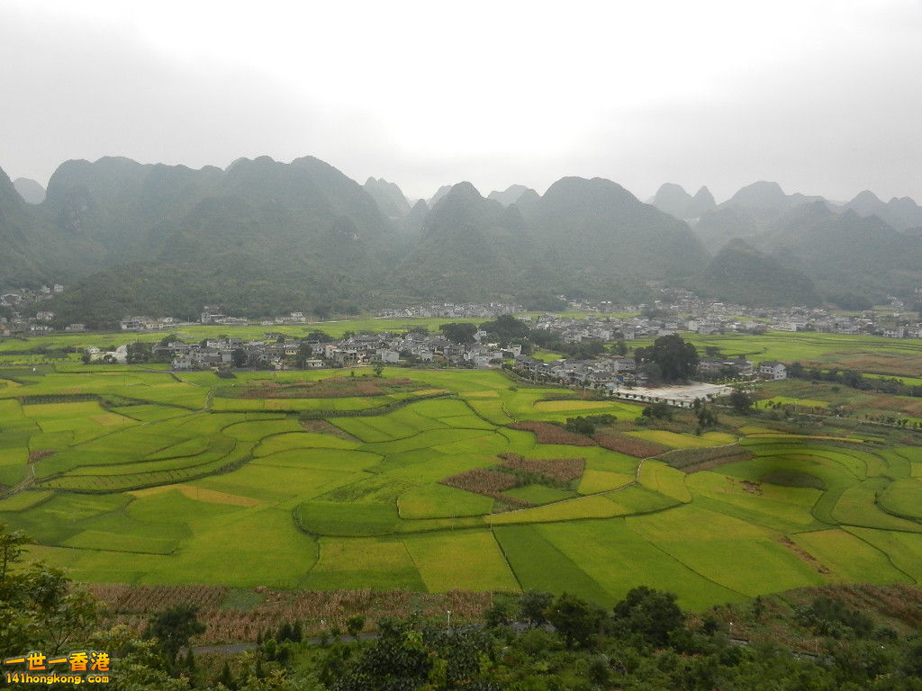 DSCN9860.JPG