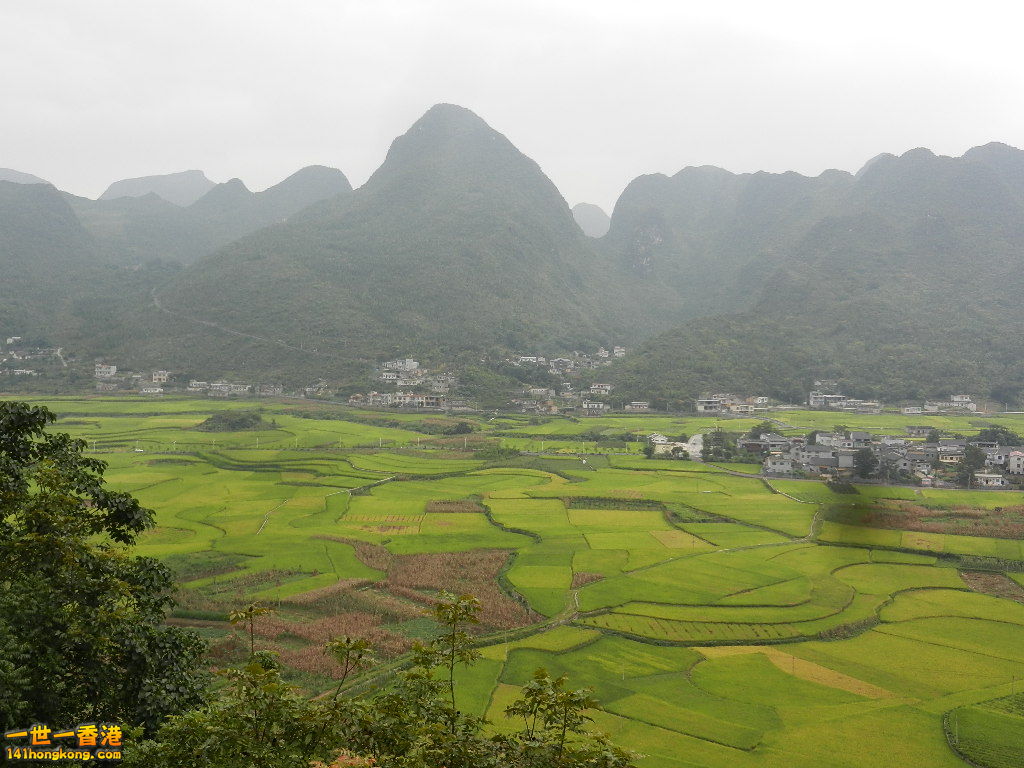 DSCN9861.JPG
