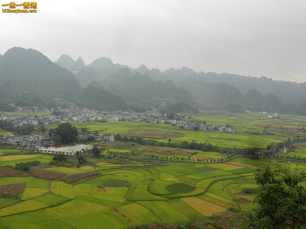 DSCN9862.JPG