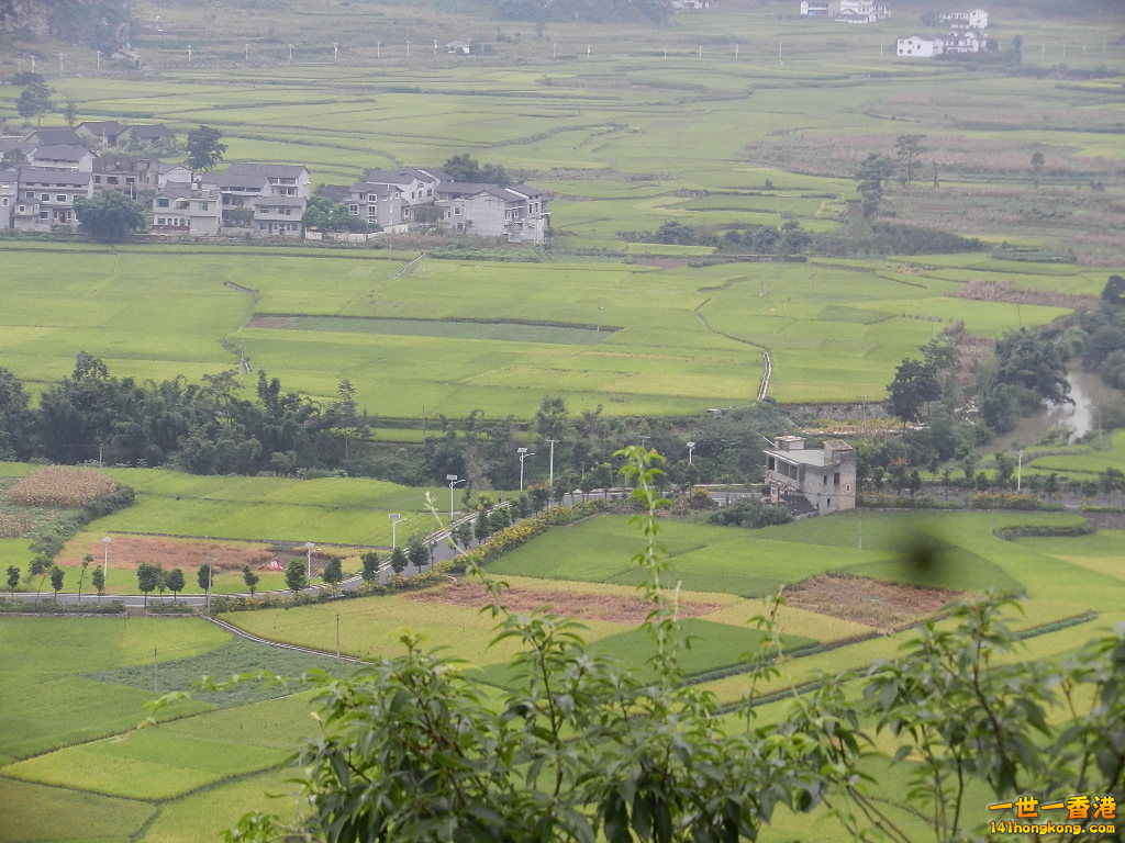 DSCN9866.JPG