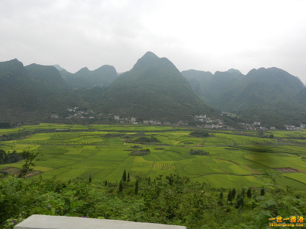DSCN9871.JPG