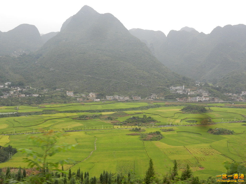 DSCN9872.JPG