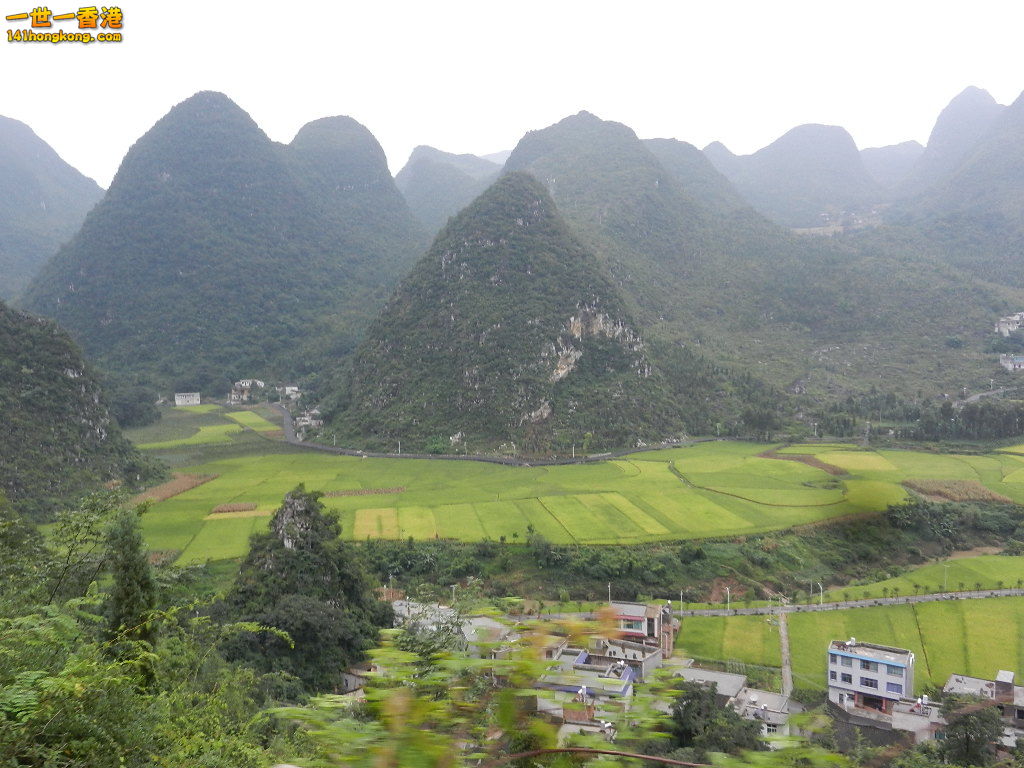 DSCN9875.JPG